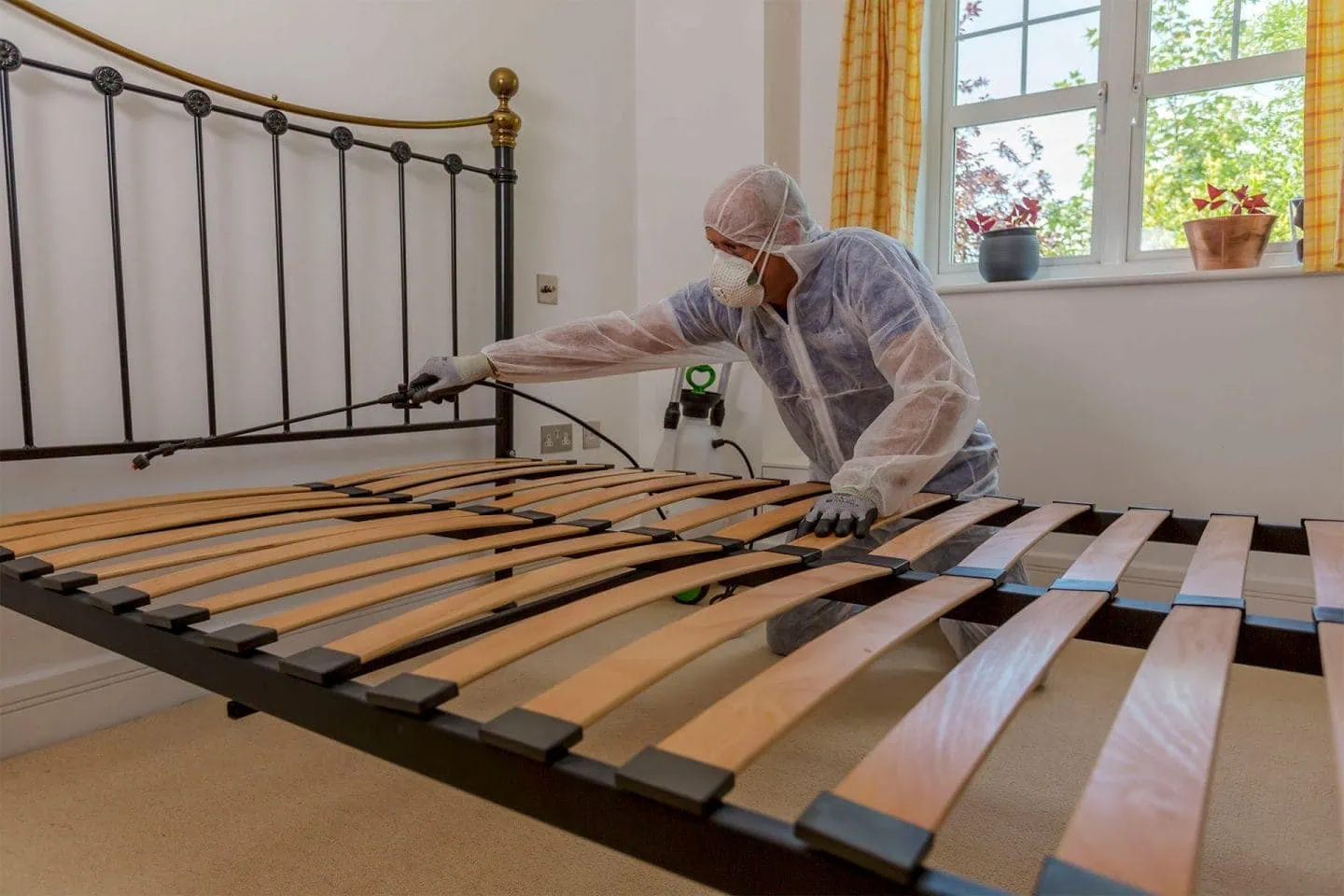 Pest controllers in London getting rid of bed bugs