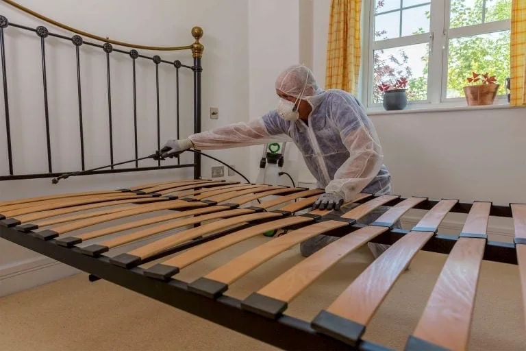 Pest controllers in London getting rid of bed bugs