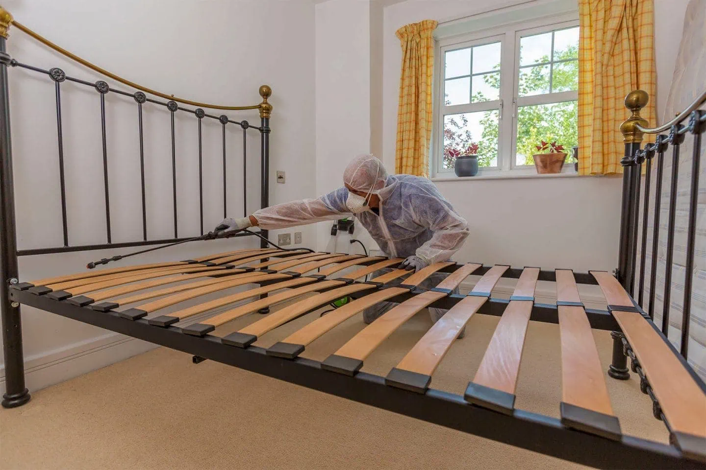 Specialist bed bug treatment