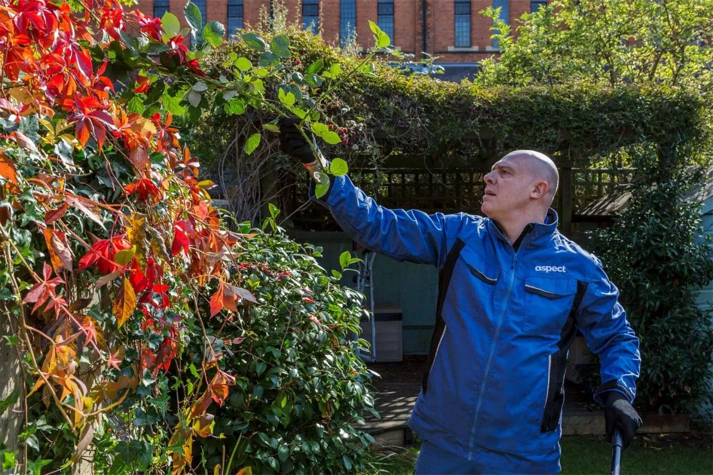 gardener near me in London