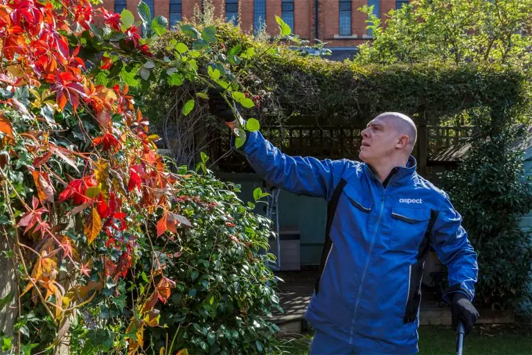 gardener near me in London