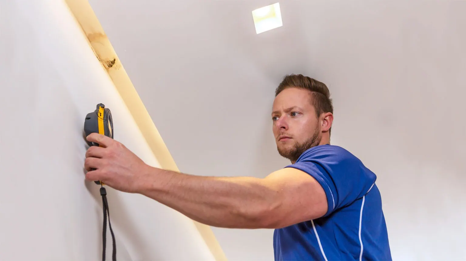 Damp specialists