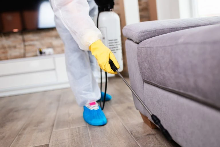 Coronavirus Disinfection Service