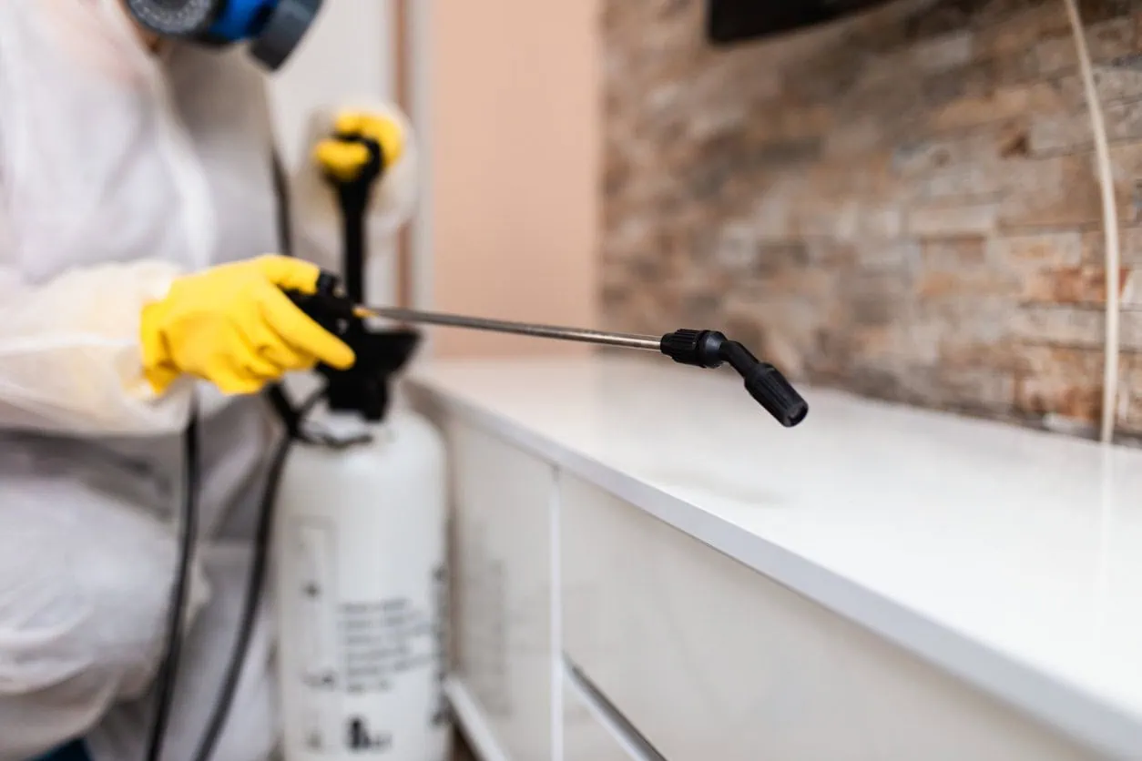 Aspect: Domestic and commercial property sanitising services