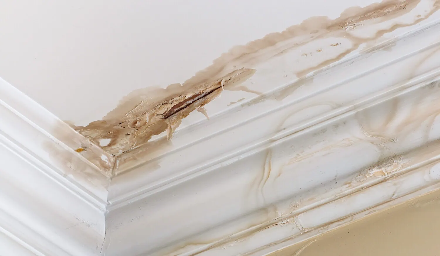 Water Leak Insurance Claim