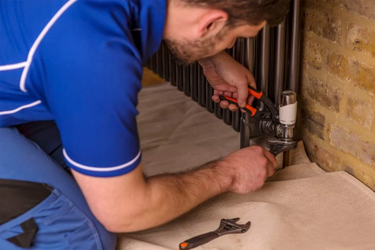 A system power flush