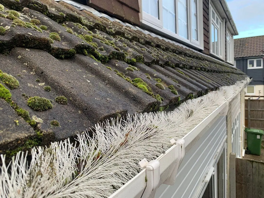 Gutter guard maintenance - close-up of a hedgehog gutter guard